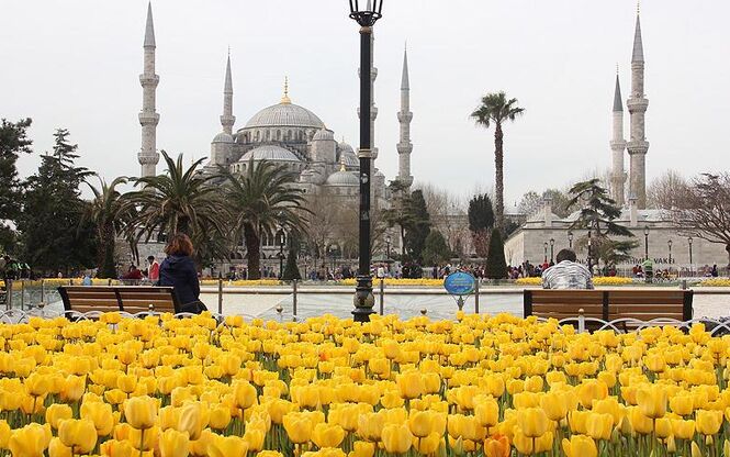 Uşak çıkışlı İstanbul