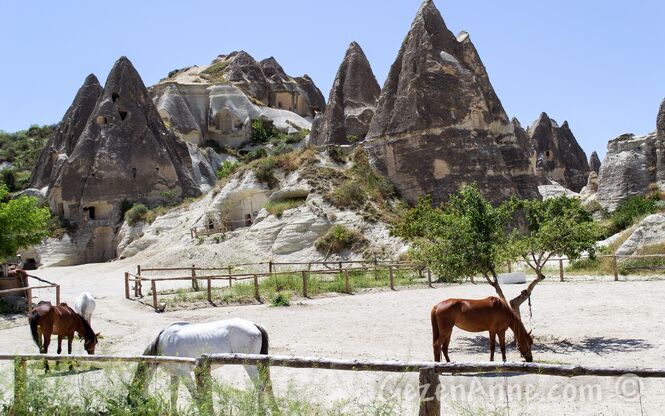 DENİZLİ ÇIKIŞLI KAPADOKYA TURU